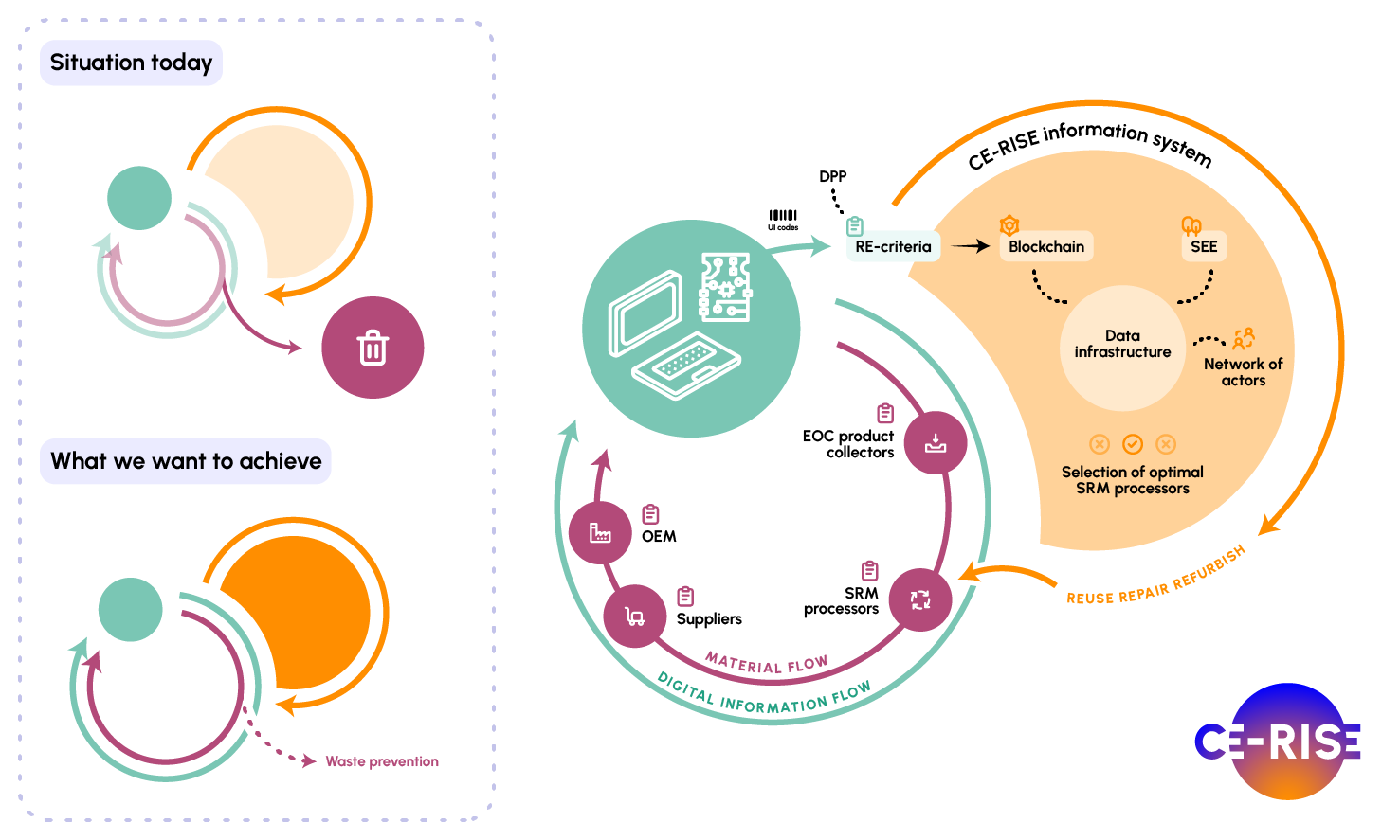 CE-RISE_Infographic_01