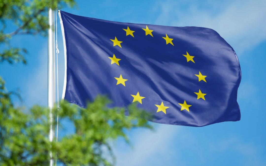 How CE-RISE Will Support the European Green Deal